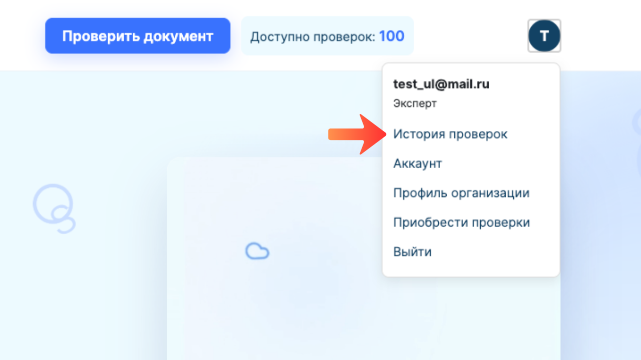 Раздел История проверок